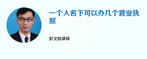 一个人名下可以办几个营业执照