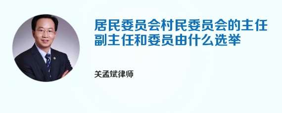 居民委员会村民委员会的主任副主任和委员由什么选举