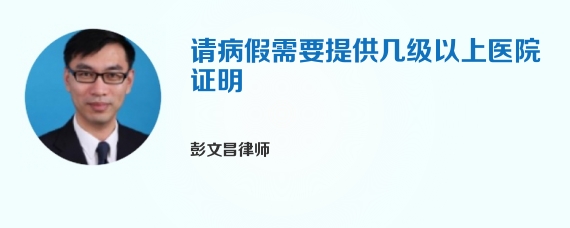 请病假需要提供几级以上医院证明