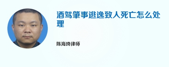 酒驾肇事逃逸致人死亡怎么处理