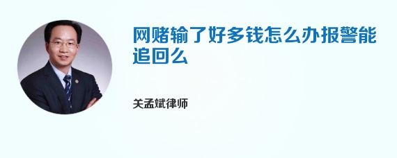 网赌输了好多钱怎么办报警能追回么