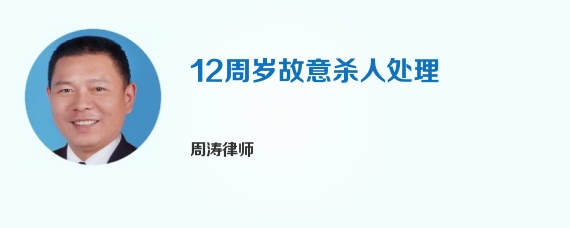 12周岁故意杀人处理